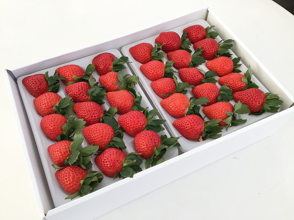 いちごの品種紹介】あまりん | つぐみのいちご - 完熟いちごのギフト販売 -